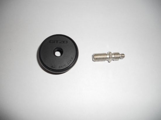 D0701.31