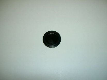 Picture of D1576.16