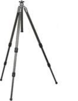 Picture of G1157