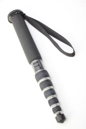 Picture of G1566