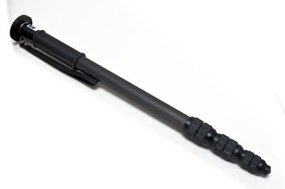 Picture of G1568
