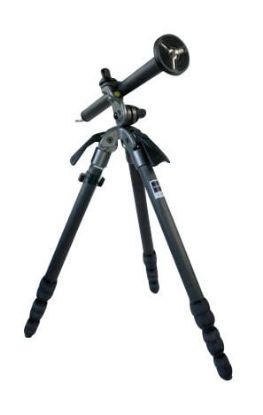 Picture of G2228