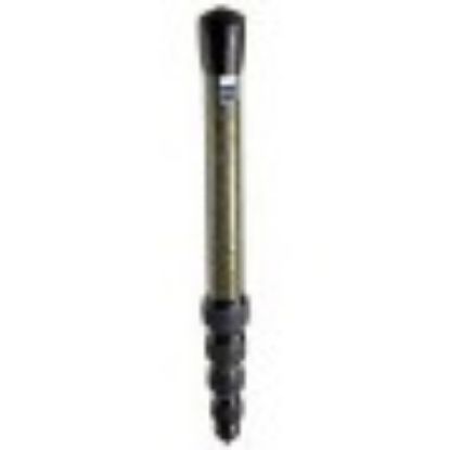 Picture of G1552