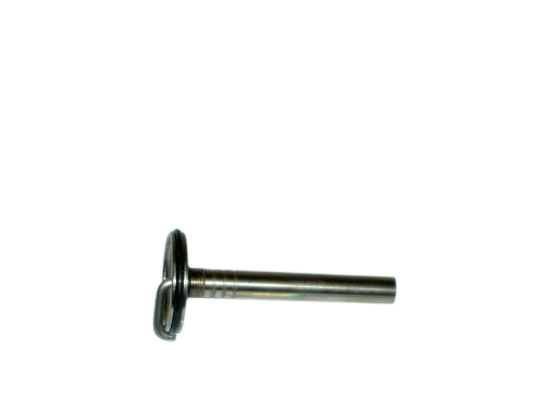 D0703.07